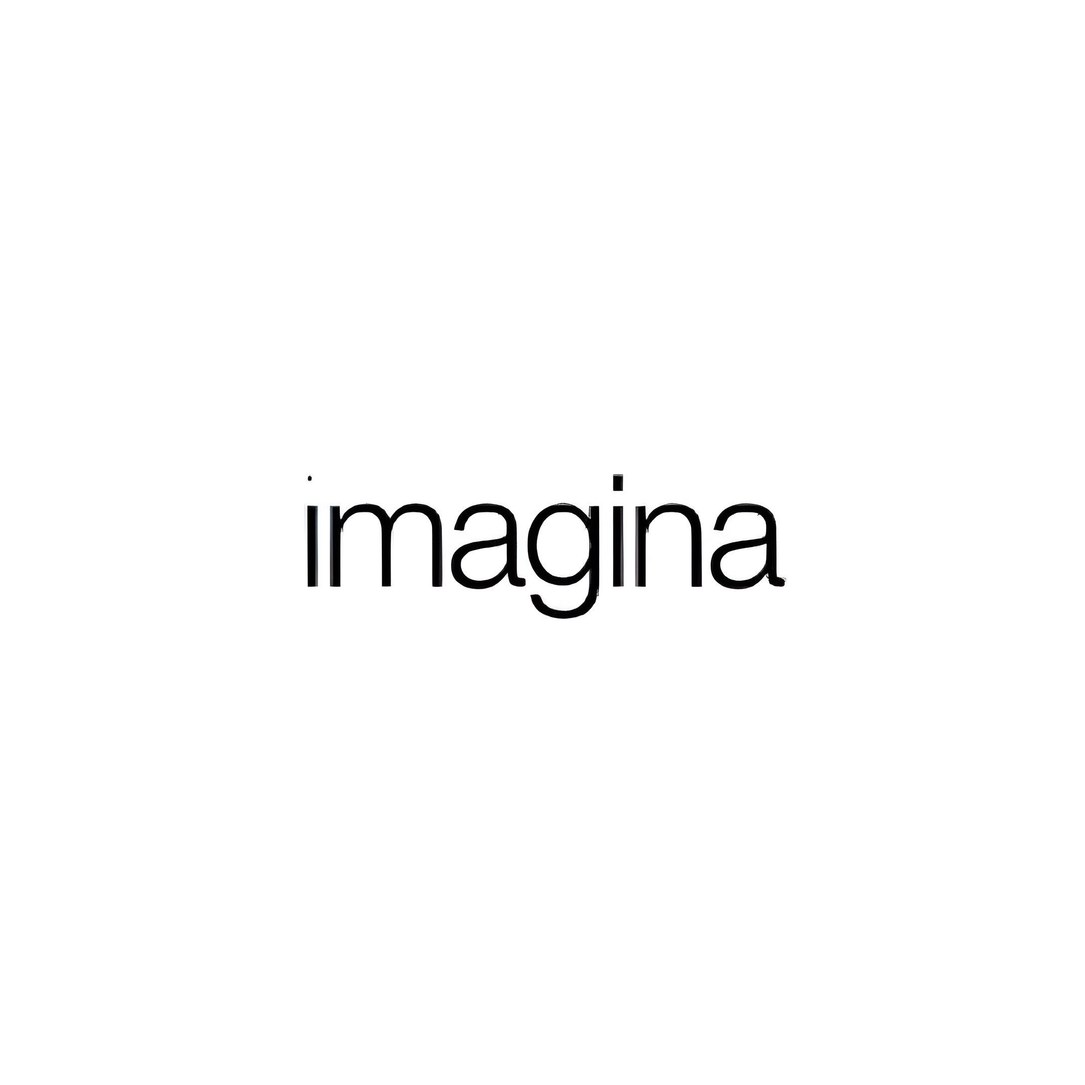 IMAGINA INMOBILIARIA Y CONSTRUCTORA